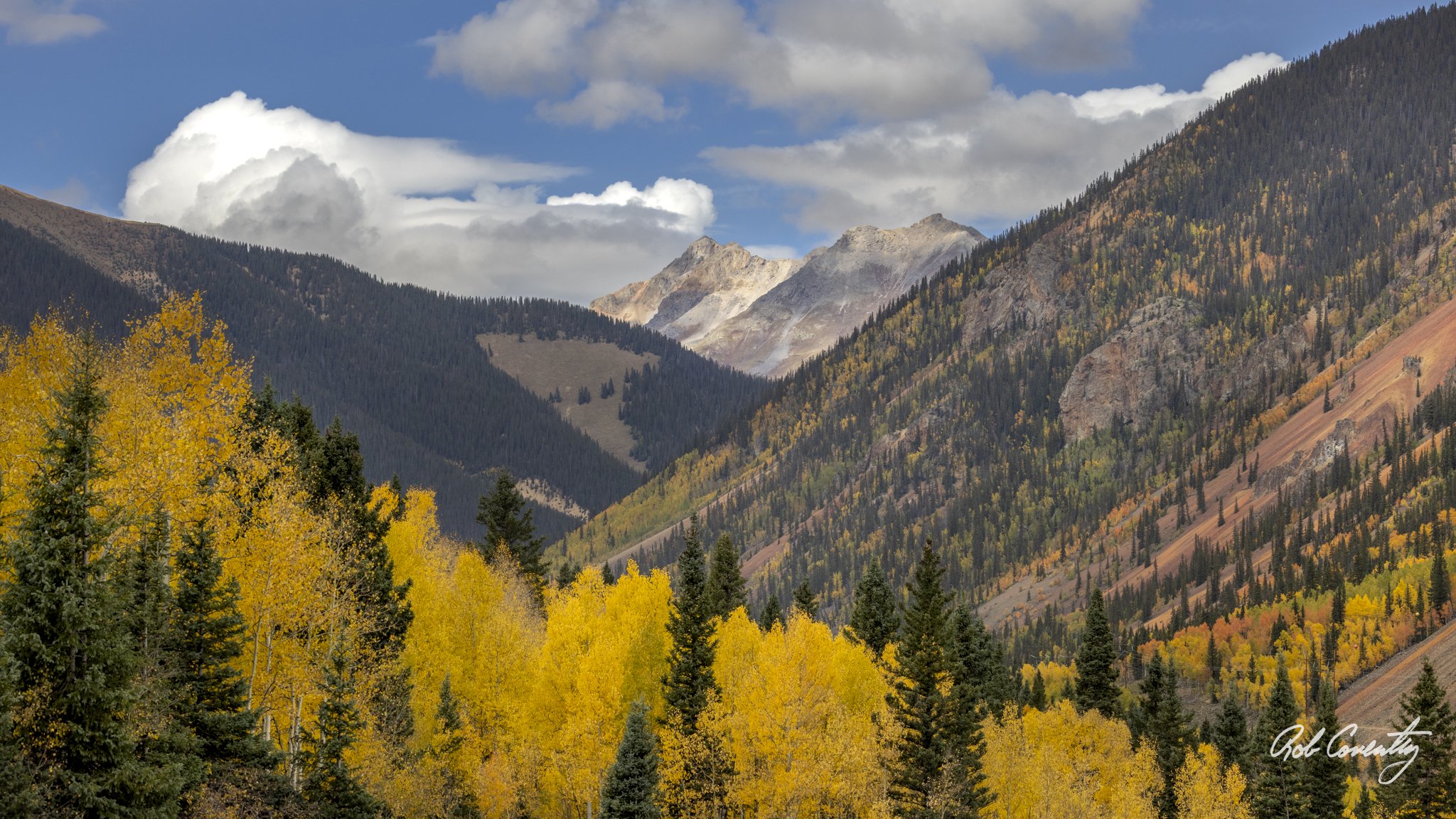 Aspen mountain vista