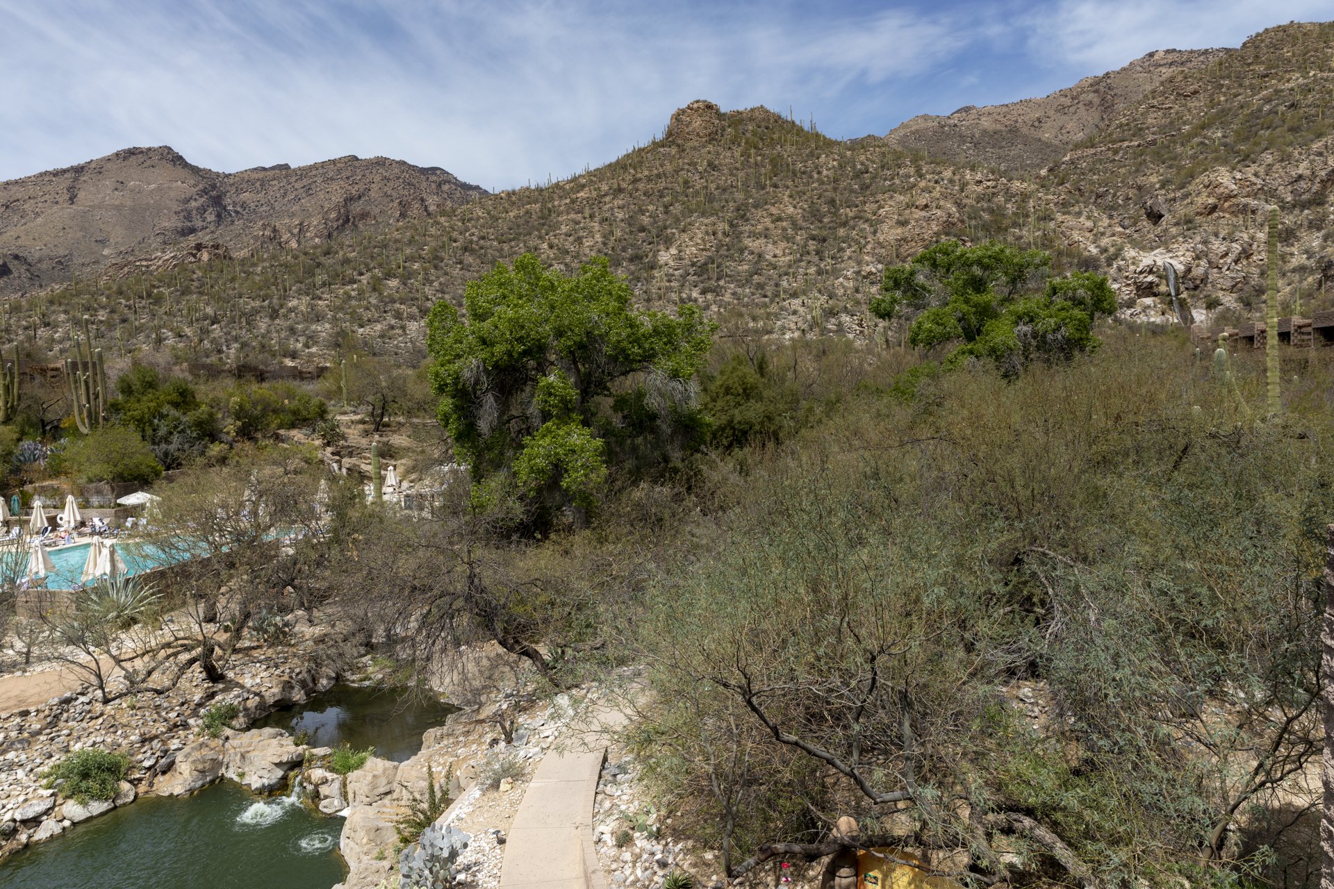 Honeymoon Suite View