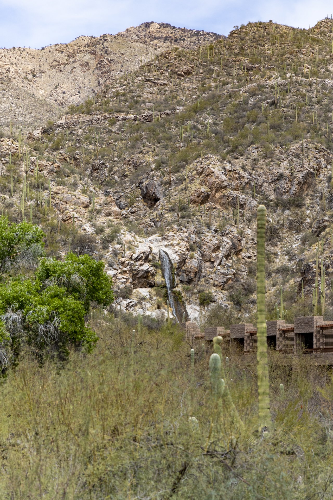 Honeymoon Suite View